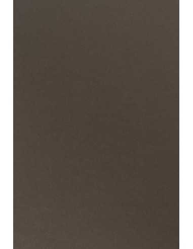 Papier ozdobny gładki kolorowy Sirio Color 170g Caffe brązowy 70x100 R200