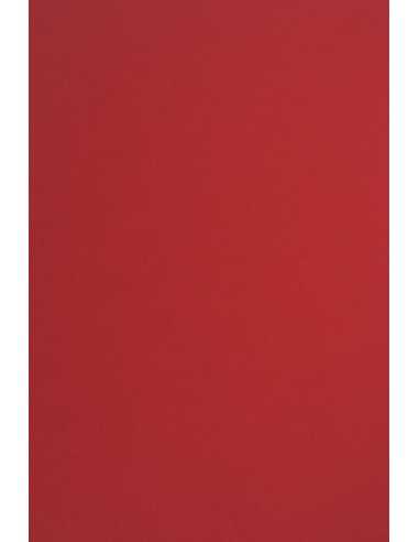 Papier ozdobny gładki kolorowy Sirio Color 170g Lampone czerwony 70x100 R200