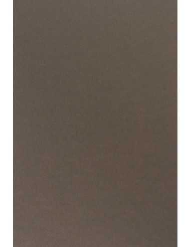 Papier ozdobny gładki kolorowy Sirio Color 210g Caffe brązowy 70x100 R125