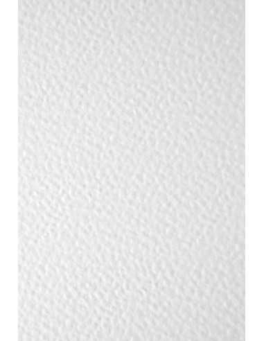 Ivory Board Embossed Paper 246g Hammer 506 White 61x86