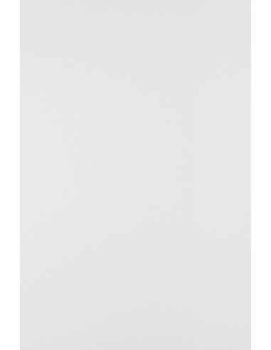 Papier ozdobny gładki Splendorgel 230g Extra White biały pak. 100A4