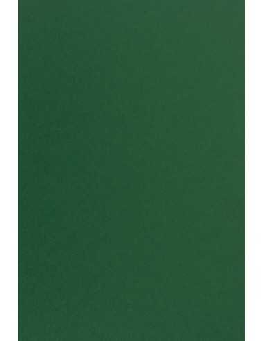 Papier ozdobny gładki kolorowy Sirio Color 115g Foglia ciemny zielony 70x100 R250