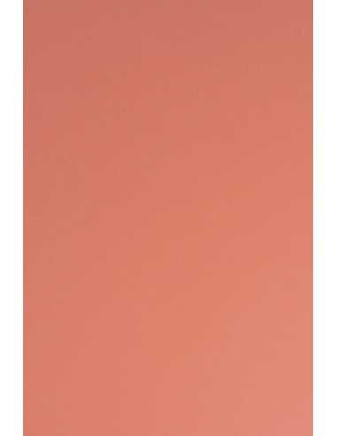 Papier ozdobny gładki kolorowy Sirio Color 115g Flamingo czerwony pak. 50A4
