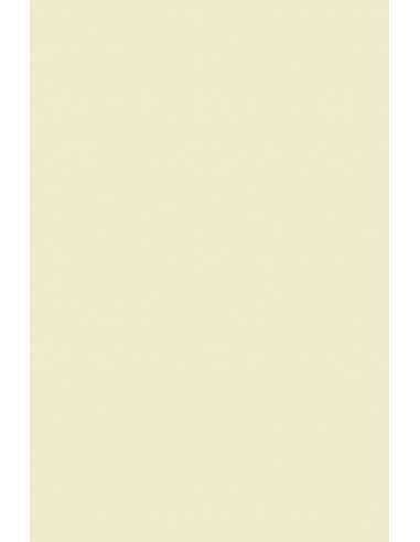 Papier ozdobny gładki kolorowy Plike 140g kość słoniowa 72x102 R125