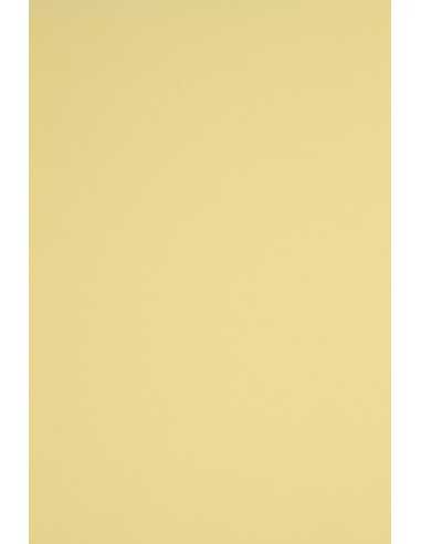 Papier ozdobny gładki kolorowy Rainbow 230g R12 jasny żółty pak. 10A3
