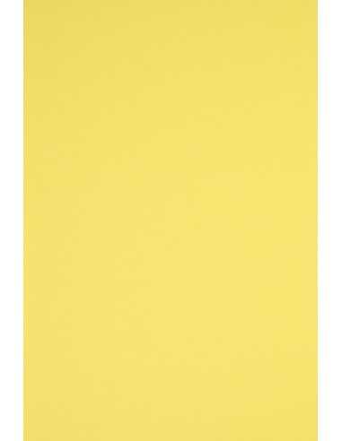 Papier ozdobny gładki kolorowy Rainbow 230g R16 żółty pak. 10A3