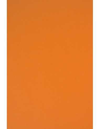 Papier ozdobny gładki kolorowy Rainbow 230g R24 pomarańczowy pak. 10A3
