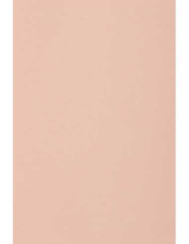 Papier ozdobny gładki kolorowy Burano 250g Rosa B10 jasny różowy pak. 10A3