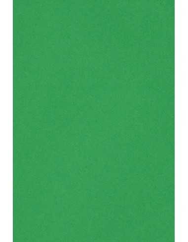 Papier ozdobny gładki kolorowy Burano 250g Verde Bandiera B60 zielony pak. 10A3