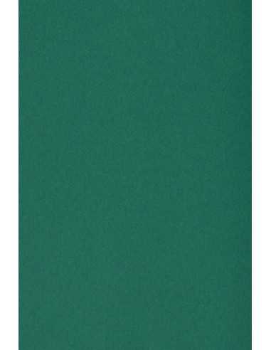 Papier ozdobny gładki kolorowy Burano 250g English Green B71 ciemny zielony pak. 10A3