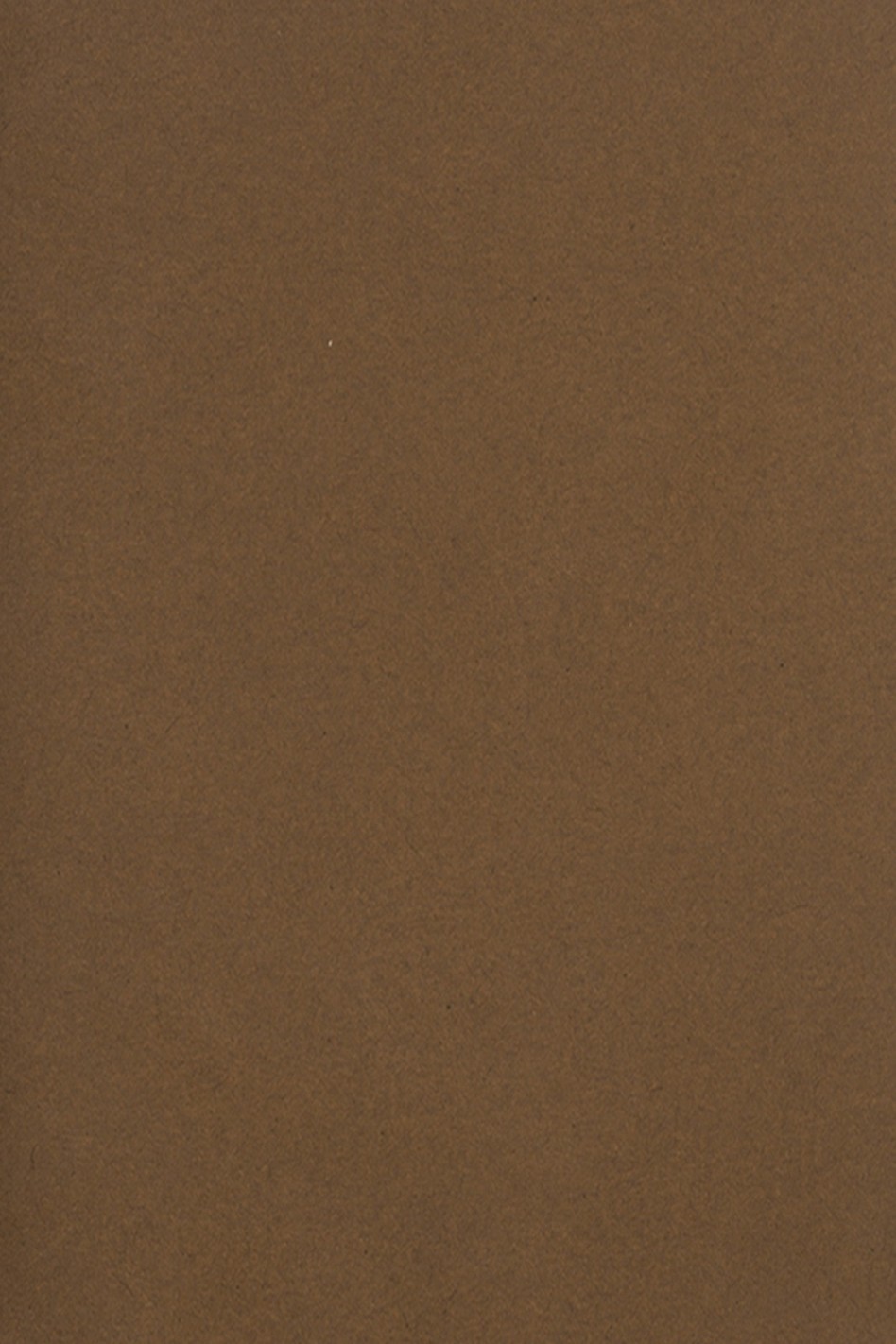 Papier ozdobny kolorowy gładki Burano 250g Tabacco B75 pak. 10SRA3