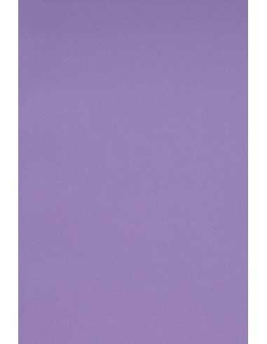 Papier ozdobny gładki kolorowy Burano 250g Violet B49 fioletowy pak. 10A5