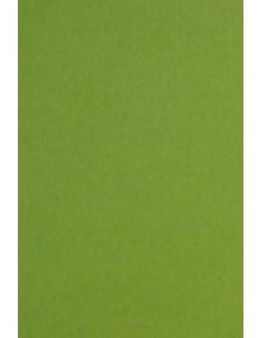 Papier ozdobny gładki kolorowy ekologiczny Keaykolour 300g Meadow zielony pak. 10A4