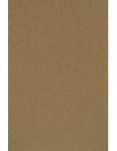 Papier ozdobny gładki ekologiczny Kraft EKO PLUS 340g brązowy pak. 20A5
