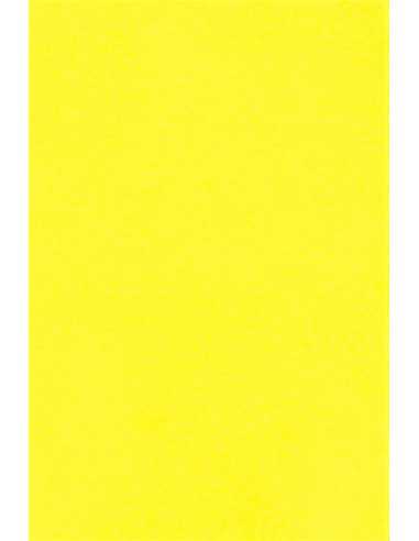 Papier ozdobny gładki kolorowy Kaskad 225g Canary Yellow żółty pak. 50A4