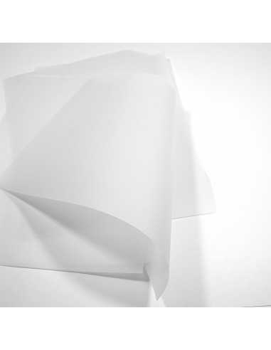 Papier ozdobny gładki przezroczysty kalka Golden Star 100g White biały 70x100 R250