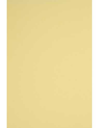 Papier ozdobny gładki kolorowy Rainbow 230g R12 jasny żółty pak. 10A5