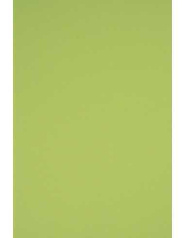 Papier ozdobny gładki kolorowy Rainbow 230g R74 jasny zielony pak. 10A5