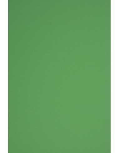 Papier ozdobny gładki kolorowy Rainbow 230g R78 ciemny zielony pak. 10A5