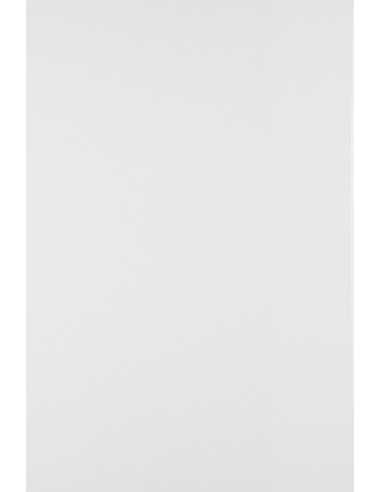 Papier ozdobny gładki Arcoset 250g White biały 70x100 R125