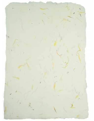 Papier ozdobny dekoracyjny czerpany kwiatowy - nagietek pak. 5A4