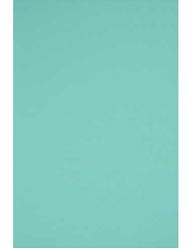 Rainbow Paper 230g R84 Sea Green Pack of 20 A4