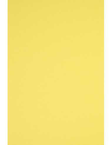 Papier ozdobny gładki kolorowy Rainbow 160g R16 żółty 45x64 10ark.
