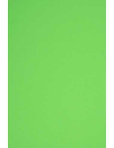 Papier ozdobny gładki kolorowy Rainbow 160g R76 zielony 45x64 10ark.