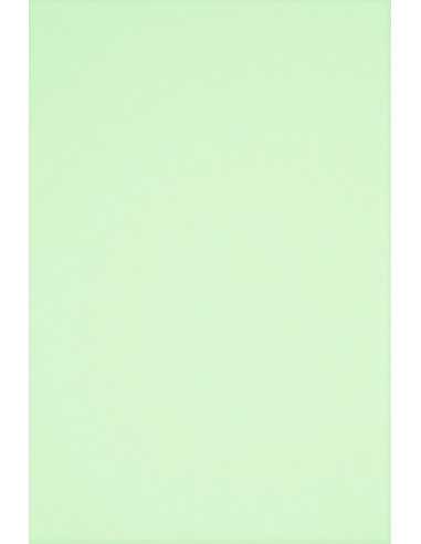 Papier ozdobny gładki kolorowy Rainbow 160g R72 jasny zielony 250A4