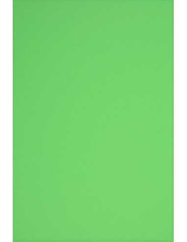Papier ozdobny gładki kolorowy Rainbow 230g R76 zielony pak. 10A3