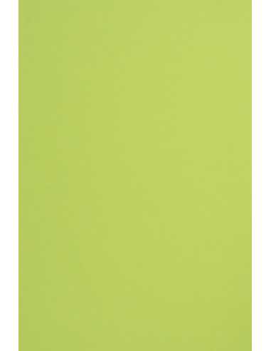 Sirio Color decorative coloured paper 115gsm Lime light green 50A5 pcs