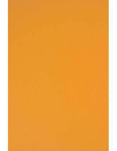 Papier ozdobny gładki kolorowy Rainbow 230g R22 jasny pomarańczowy 70x100 R125