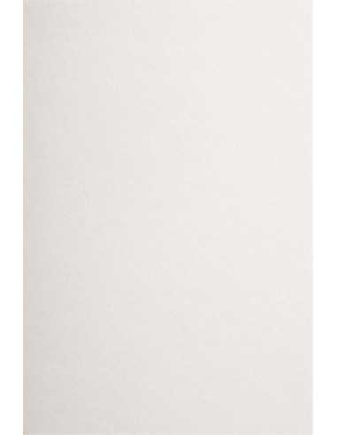 Papier ozdobny gładki kolorowy ekologiczny Materica 120g Gesso biały 72x102 R200