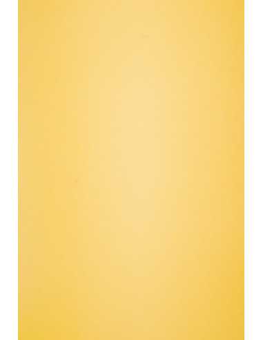 Papier ozdobny gładki kolorowy ekologiczny Circolor 160g Saffron musztardowy pak. 25A4