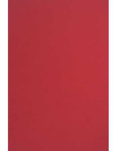 Papier ozdobny gładki kolorowy ekologiczny Circolor 160g Tulip bordowy pak. 250A4