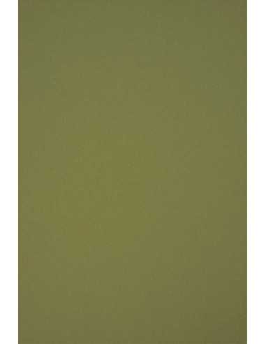 Papier ozdobny gładki kolorowy ekologiczny Circolor 160g Rosemary zielony pak. 25A4