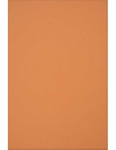 Papier ozdobny gładki kolorowy ekologiczny Circolor 80g Pumpkin pomarańczowy pak. 50A4