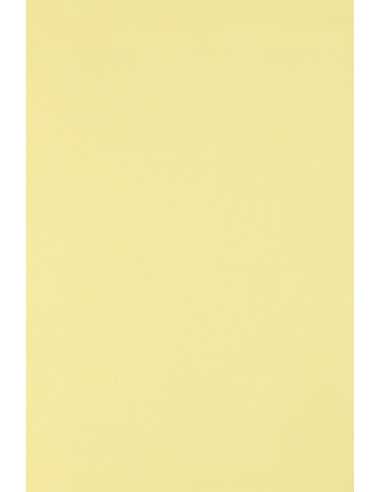 Papier ozdobny gładki kolorowy ekologiczny Circolor 80g Camomile jasny żółty pak. 50A4