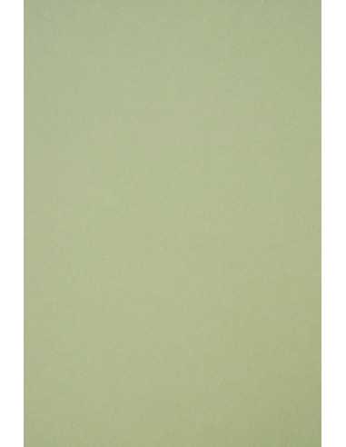 Papier ozdobny gładki kolorowy ekologiczny Crush 250g Kiwi jasny zielony pak. 50A4