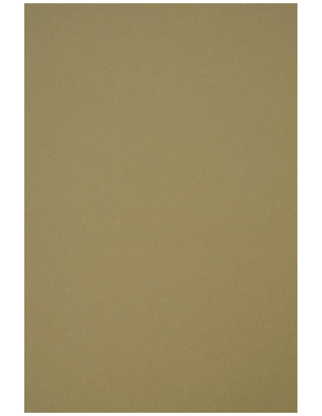 Papier ozdobny gładki kolorowy ekologiczny Crush 250g Olive zielony pak. 10A4