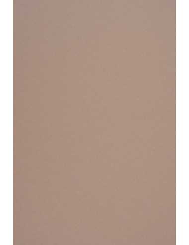 Papier ozdobny gładki kolorowy ekologiczny Crush 250g Almond jasny brązowy pak. 10A4