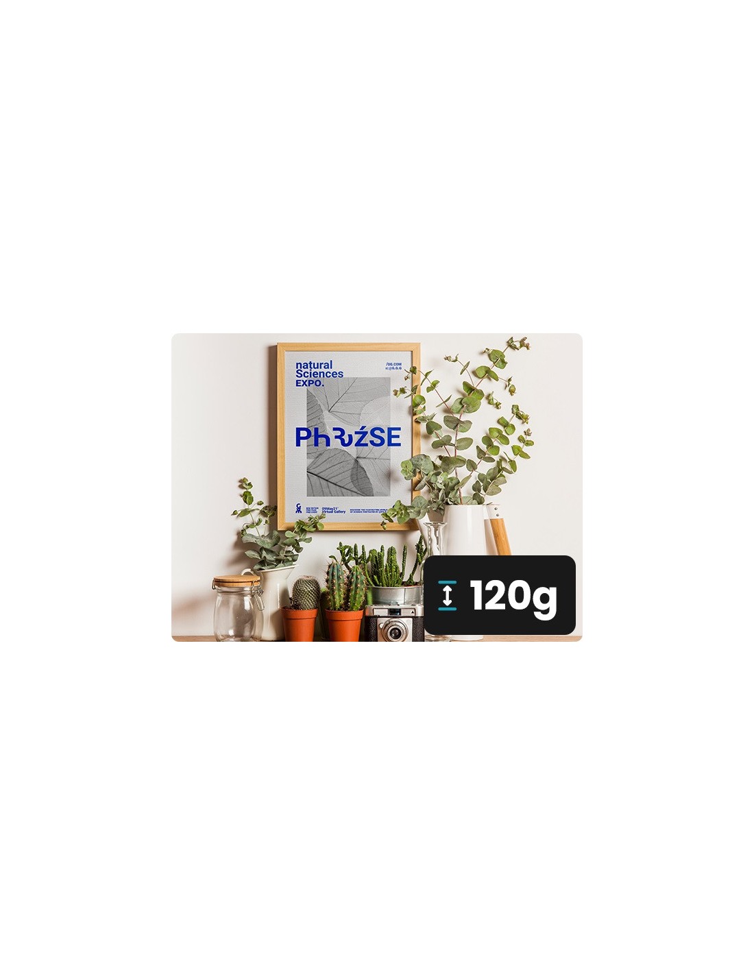 Papier ozdobny firmowy żeberkowany Aster Laid 120g White biały pak. 50A4 Papier ozdobny firmowy żeberkowany Aster Laid 120g White biały pak. 50A4