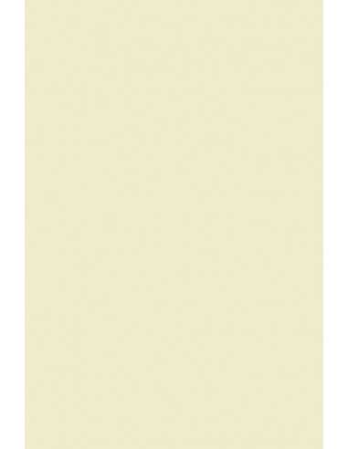 Papier ozdobny gładki Olin 240g Regular Soft Cream ecru 72x102 R100