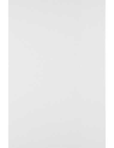 Papier ozdobny gładki Olin 300g Regular Ultimate White biały 72x102 R50
