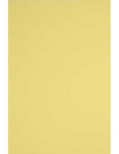 Papier ozdobny gładki kolorowy Rainbow 160g R14 słoneczny żółty 92x65 R125
