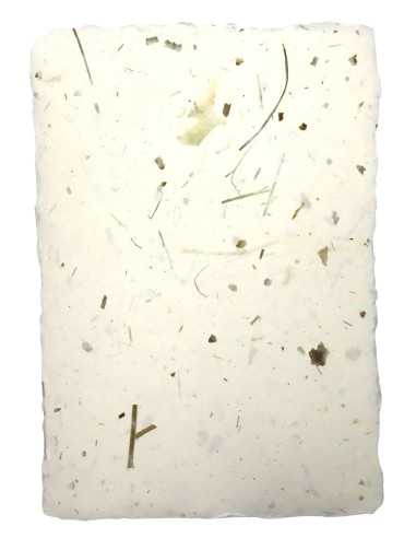 Papier ozdobny dekoracyjny czerpany kwiatowy - cebula z trawą 5A4