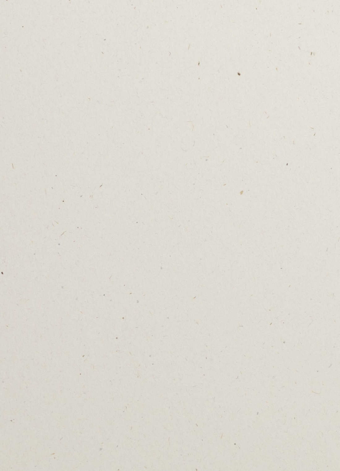 Papier ozdobny gładki kolorowy ekologiczny z wtrąceniami Flora 240g Avorio ecru 72x102 R125 Papier ozdobny gładki kolorowy ekologiczny z wtrąceniami Flora 240g Avorio ecru 72x102 R125