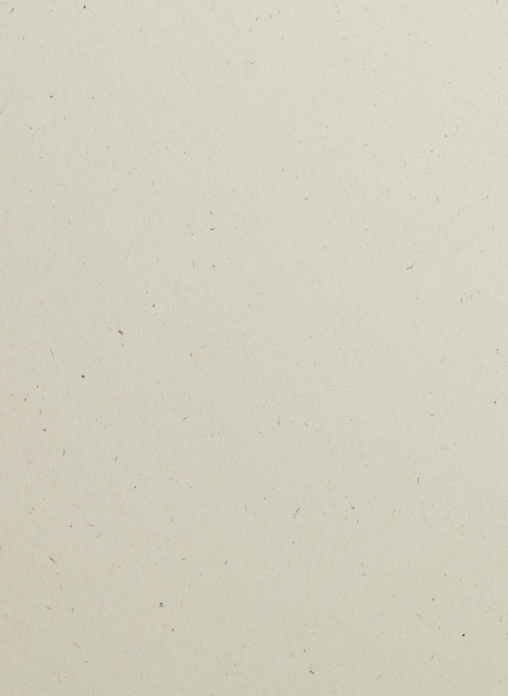 Papier ozdobny gładki kolorowy ekologiczny z wtrąceniami Flora 240g Noce beż pak. 10A4 Papier ozdobny gładki kolorowy ekologiczny z wtrąceniami Flora 240g Noce beż pak. 10A4