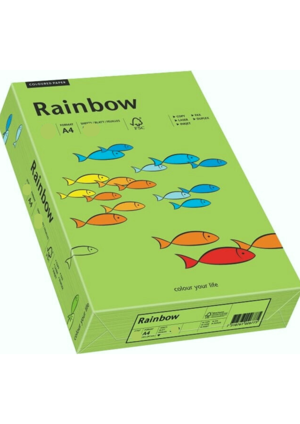 Papier Rainbow 80g R76 zielony pak. 500A4 Papier Rainbow 80g R76 zielony pak. 500A4