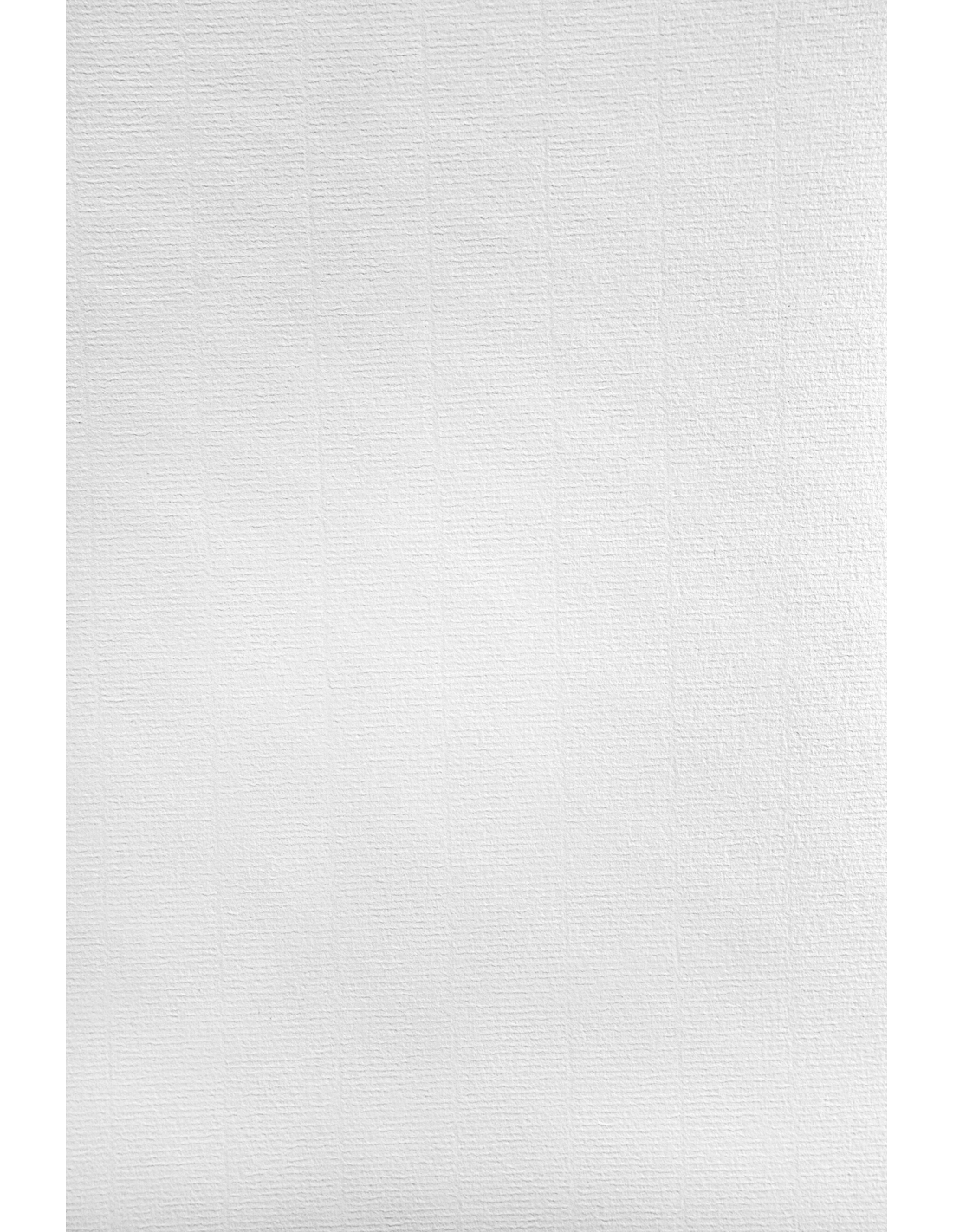 Papier ozdobny firmowy żeberkowany Aster Laid 220g White biały pak. 20A5 Papier ozdobny firmowy żeberkowany Aster Laid 220g White biały pak. 20A5